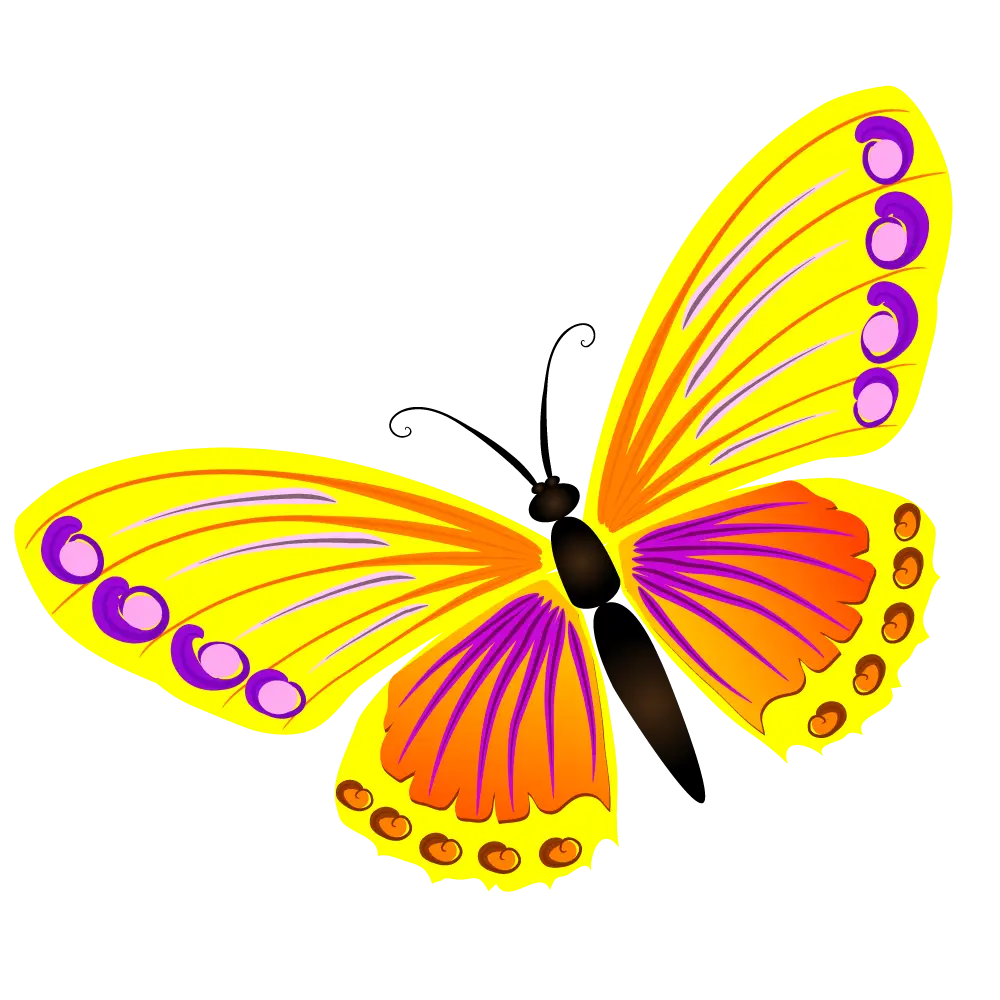 Yellow and Purple Butterfly Art Illustration