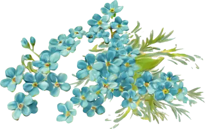 Beautiful Blue Flowers Bouquet
