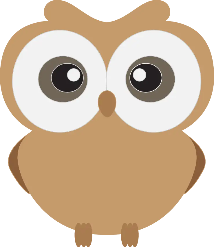 Brown Cartoon Owl with Large Eyes