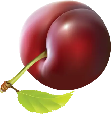 Juicy Red Plum with Leaf