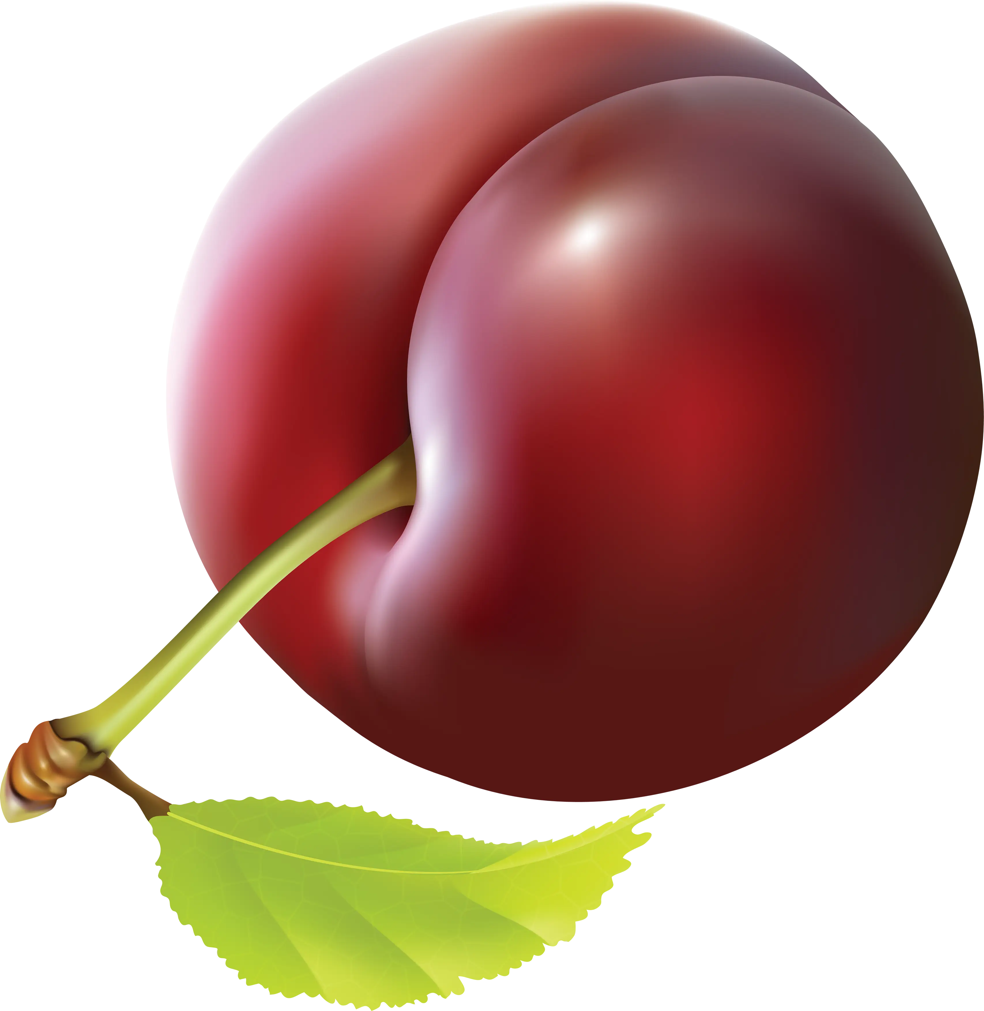 Juicy Red Plum with Leaf