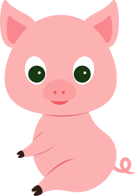 Cute Cartoon Pig Illustration