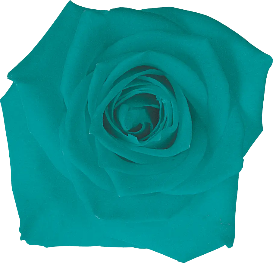 Unique Blue Rose Illustration