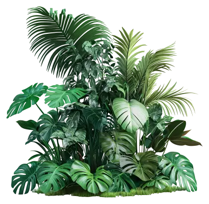 Lush Green Tropical Plants