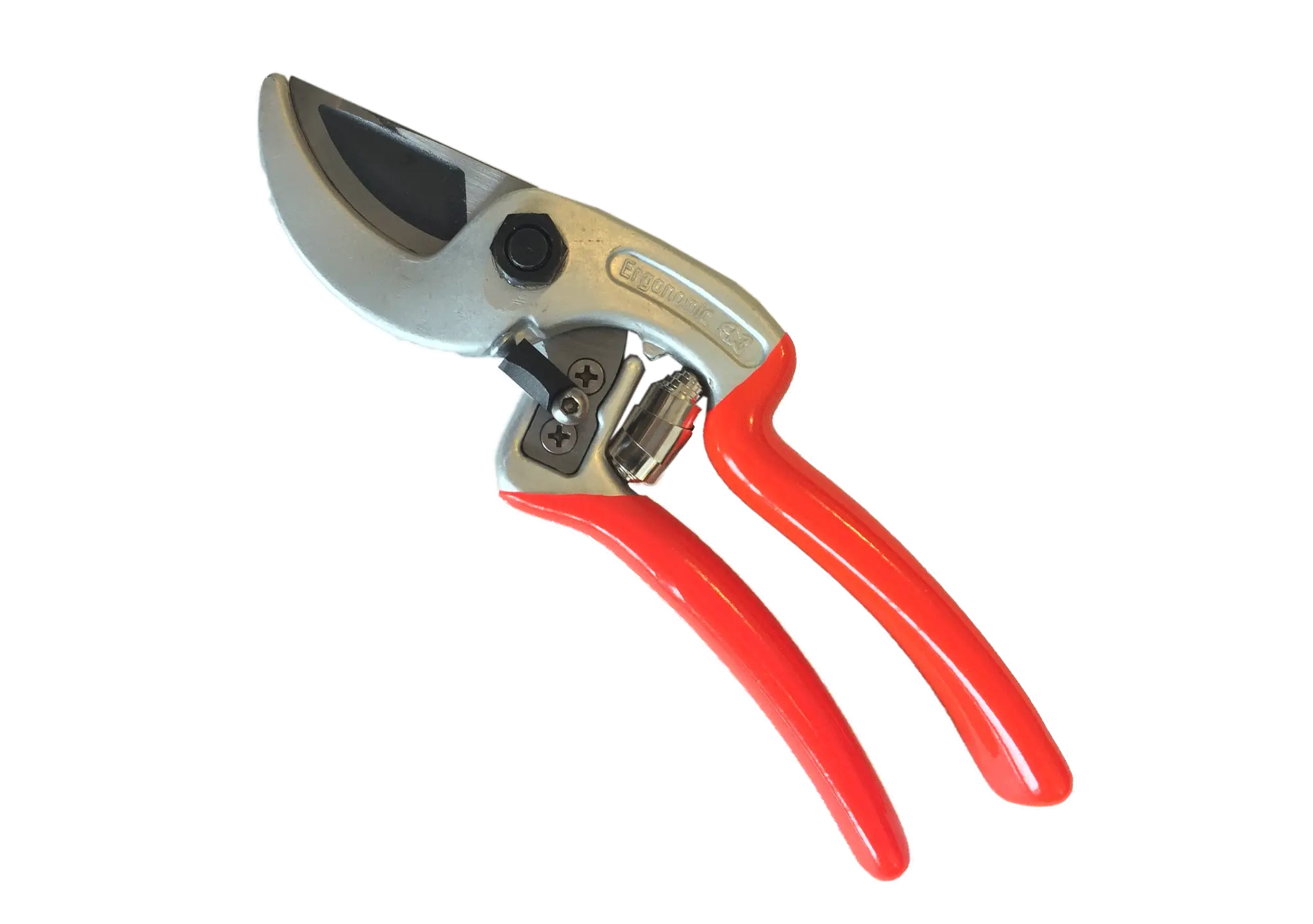 Red Pruning Shears for Gardening