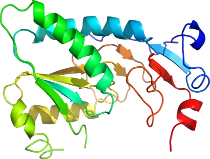 3D Protein Structure Illustration for Science