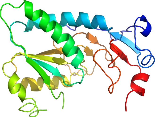 3D Protein Structure Illustration for Science