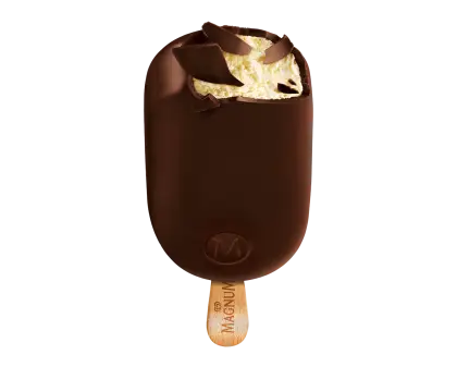 Chocolate-Covered Ice Cream Bar