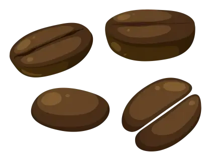 Brown Coffee Beans for Brewing Enthusiasts