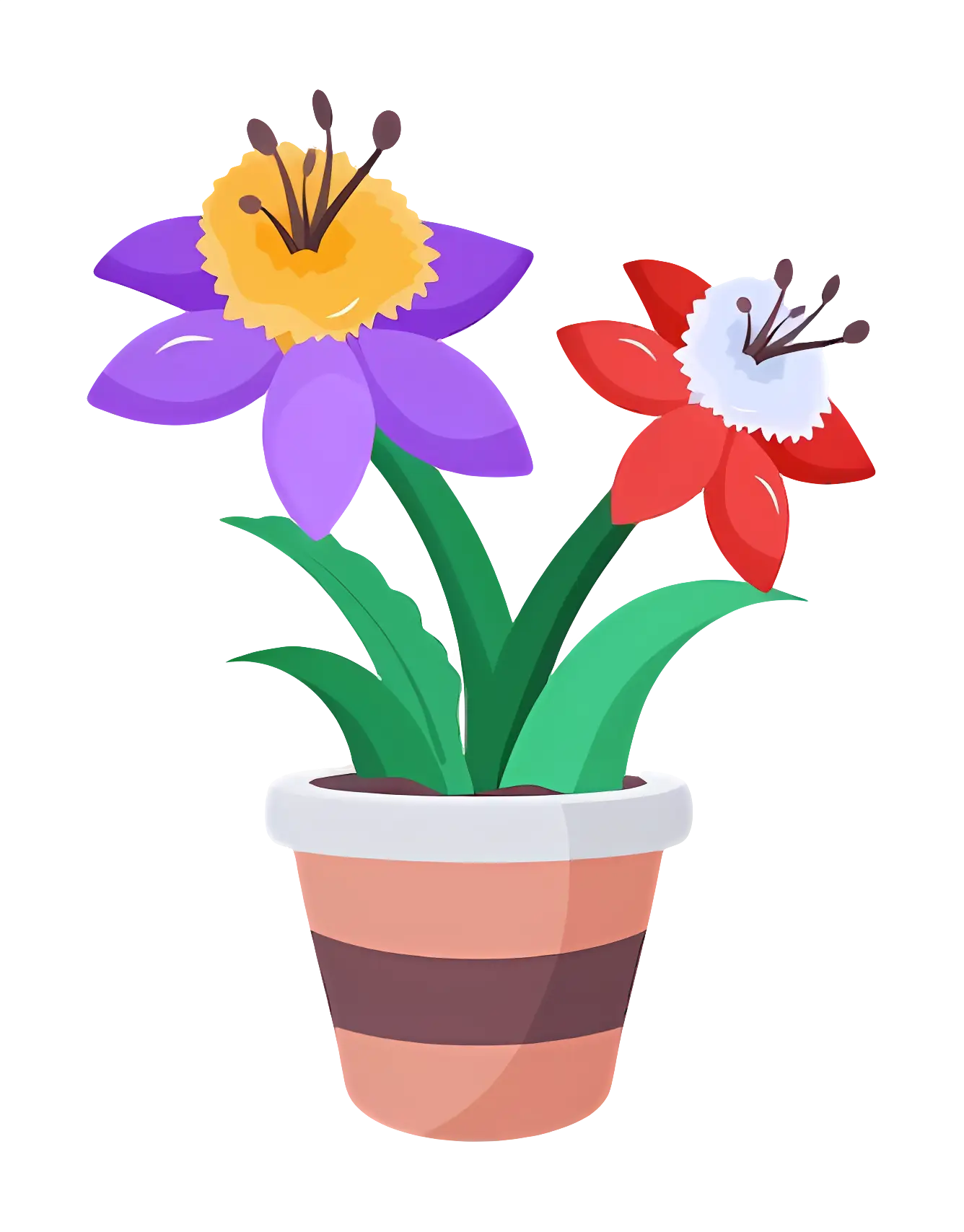 Potted Flower with Colorful Blooms