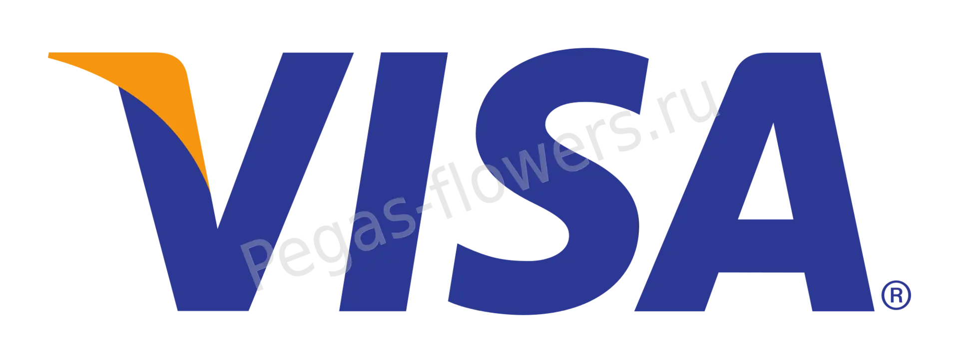 Visa Logo for Global Financial Services