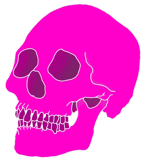 Bright Pink Skull Graphic Illustration