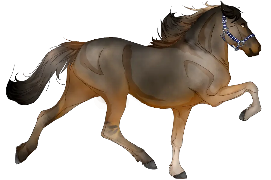 Illustrated Galloping Brown Horse