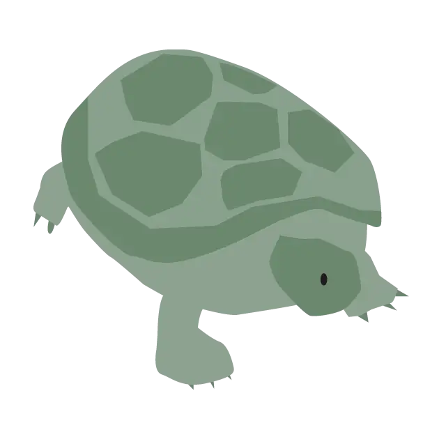 Cartoon Turtle with Cute Design