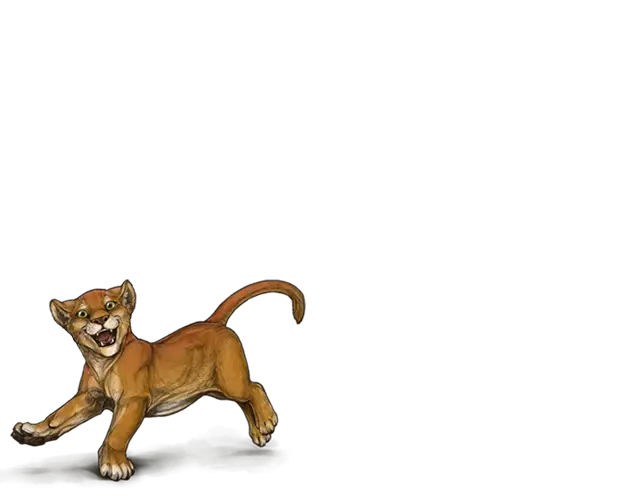 Playful Lion Cub