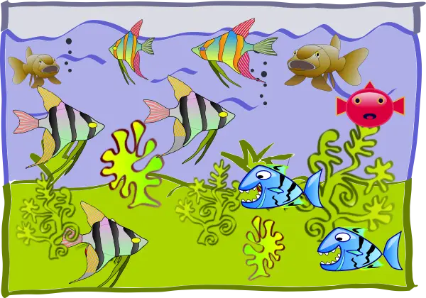 Colorful Fish Tank with Plants