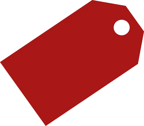 Simple Red Tag Icon