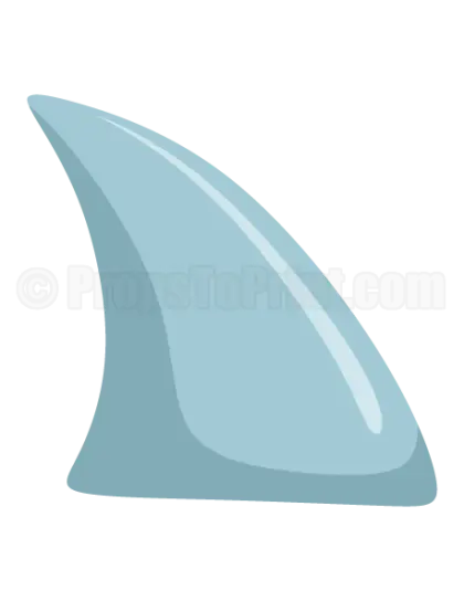 Blue Shark Fin Illustration