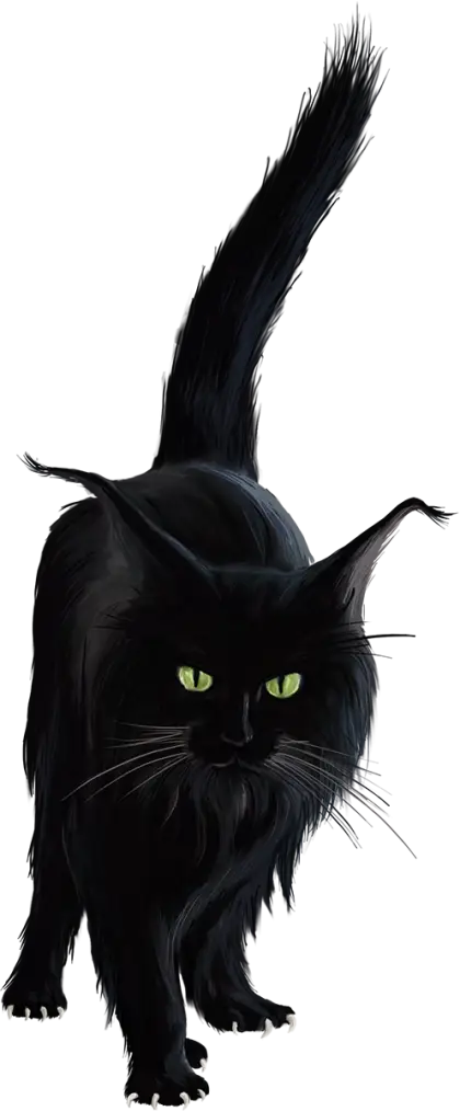 Black Cat with Mystic Green Eyes