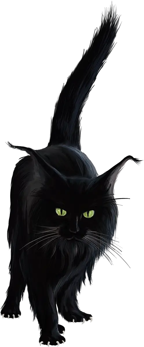 Black Cat with Mystic Green Eyes