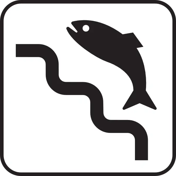 Fish Climbing a Ladder