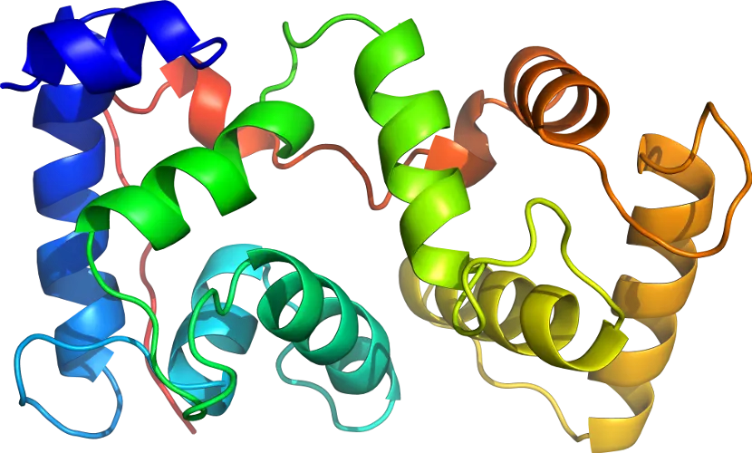 Colorful Protein Structure Illustration