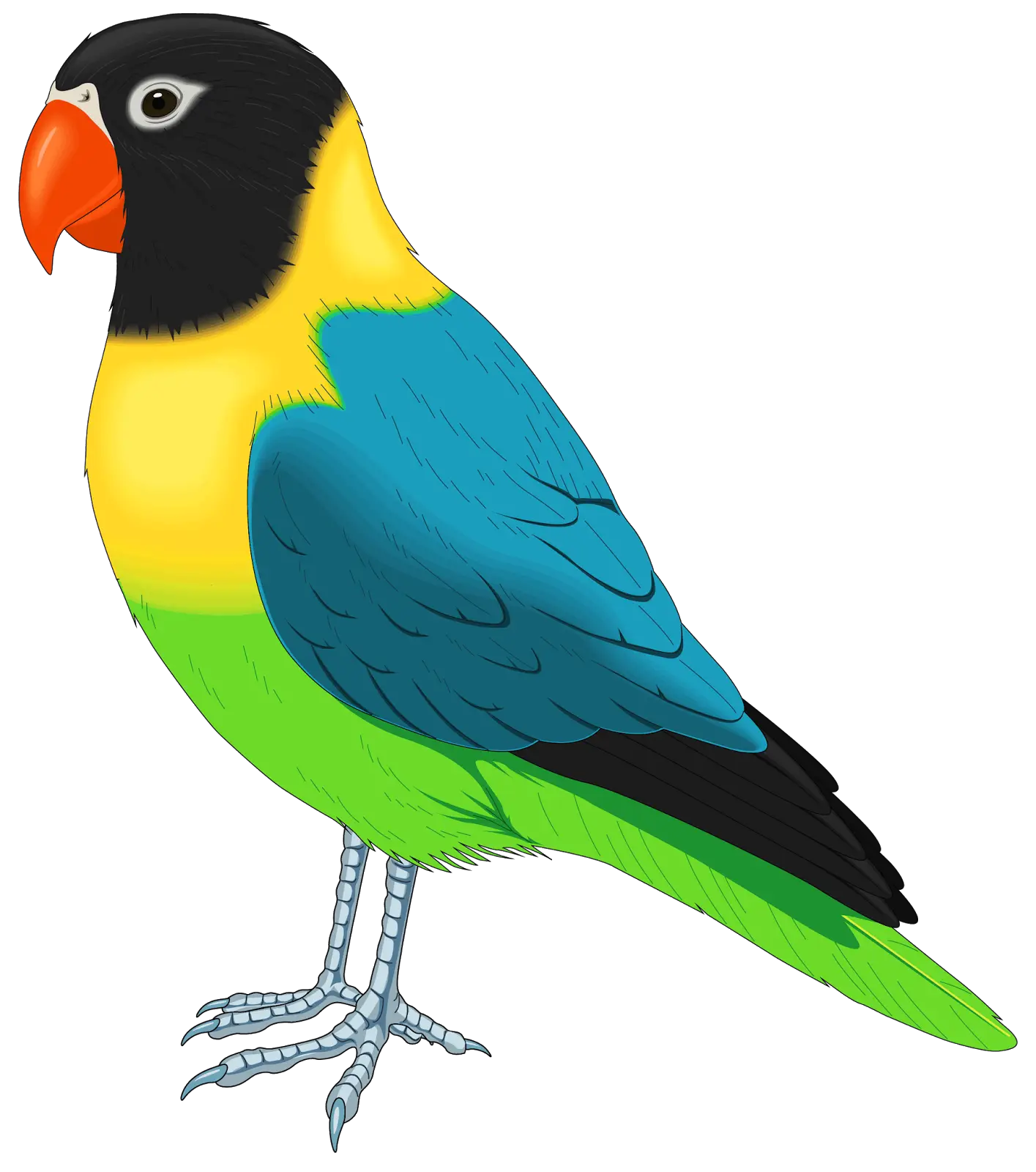 Colorful Parrot Illustration with Tropical Vibes