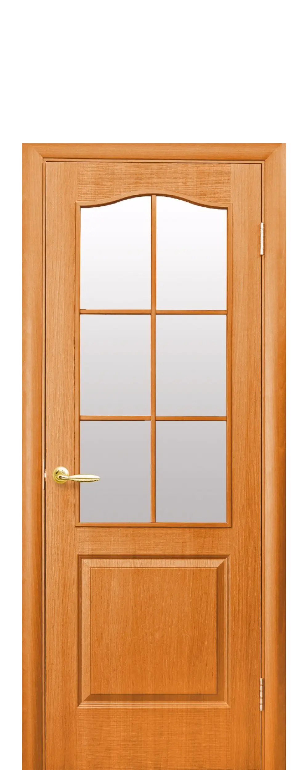 Paneled Wooden Interior Door