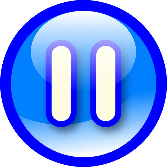 Blue Pause Symbol Icon
