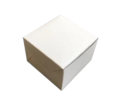 Plain White Packaging Box