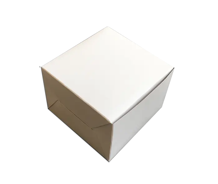 Plain White Packaging Box