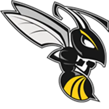 Hornet Mascot Illustration