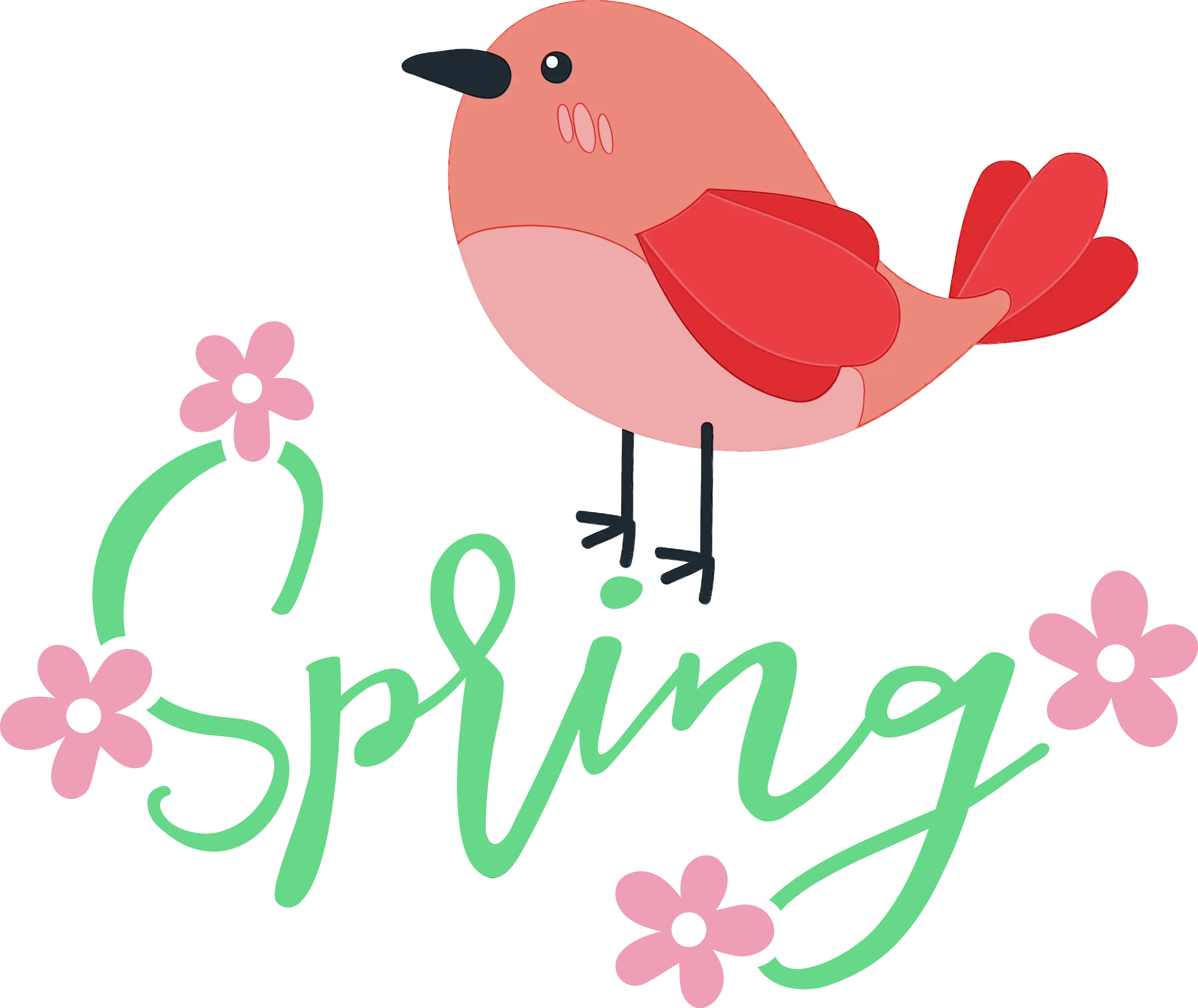 Red Bird Illustration with Spring Text