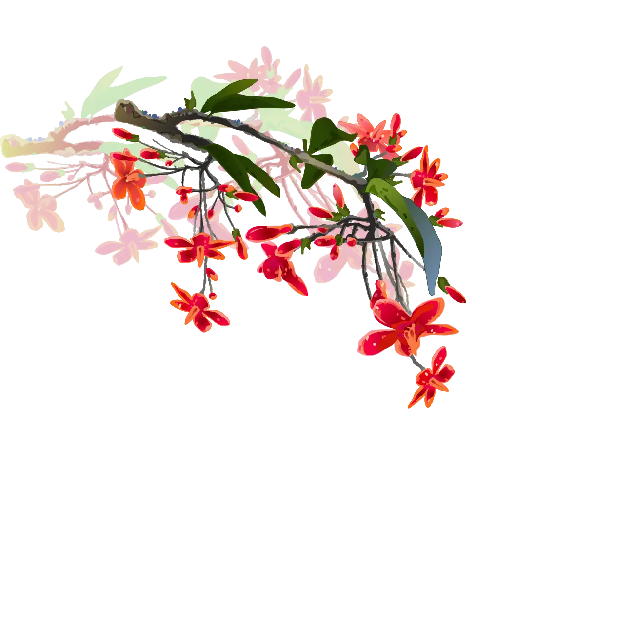 Red Flowers on Branch