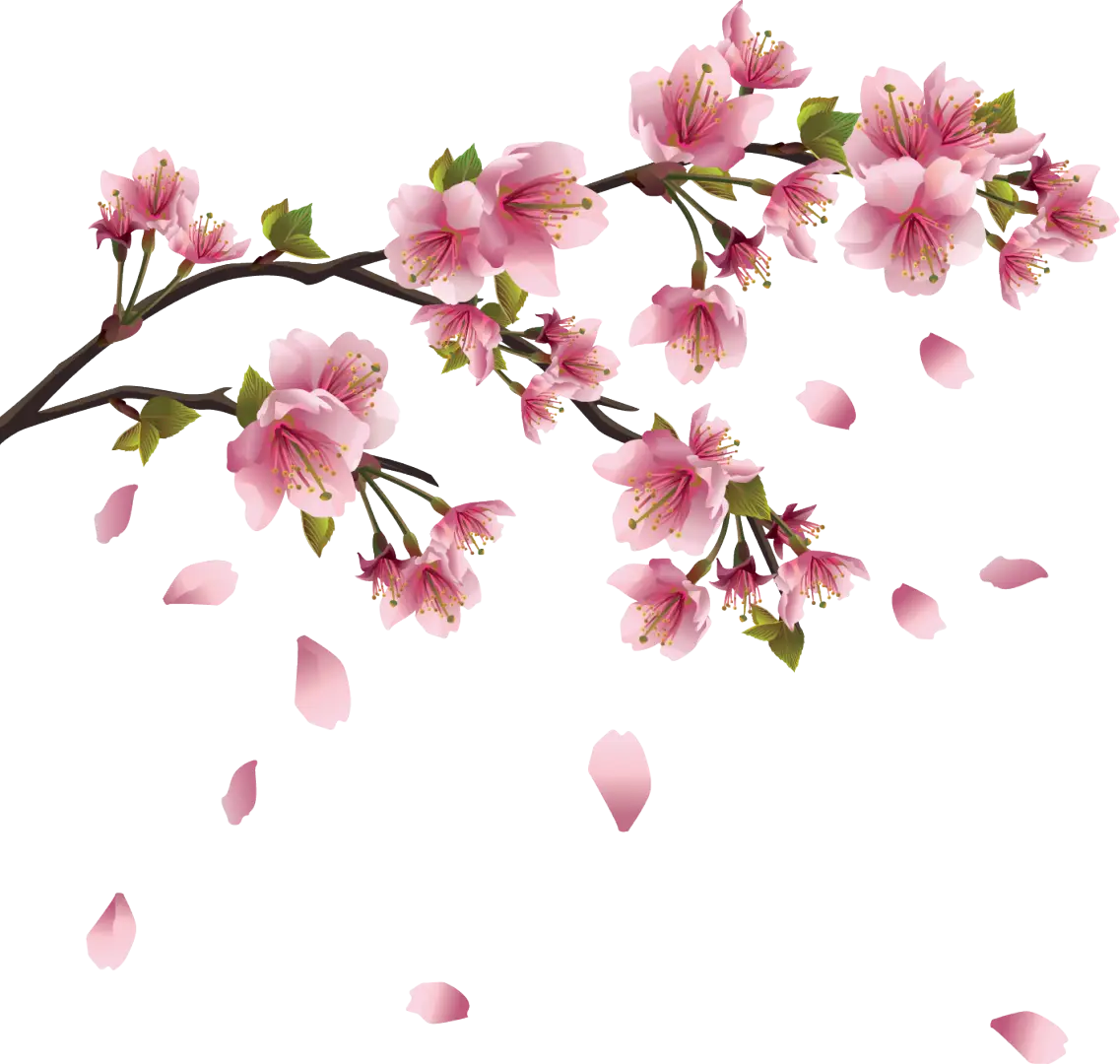 Branch with Delicate Pink Cherry Blossoms