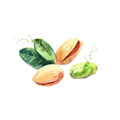 Fresh Pistachios for Healthy Snacking