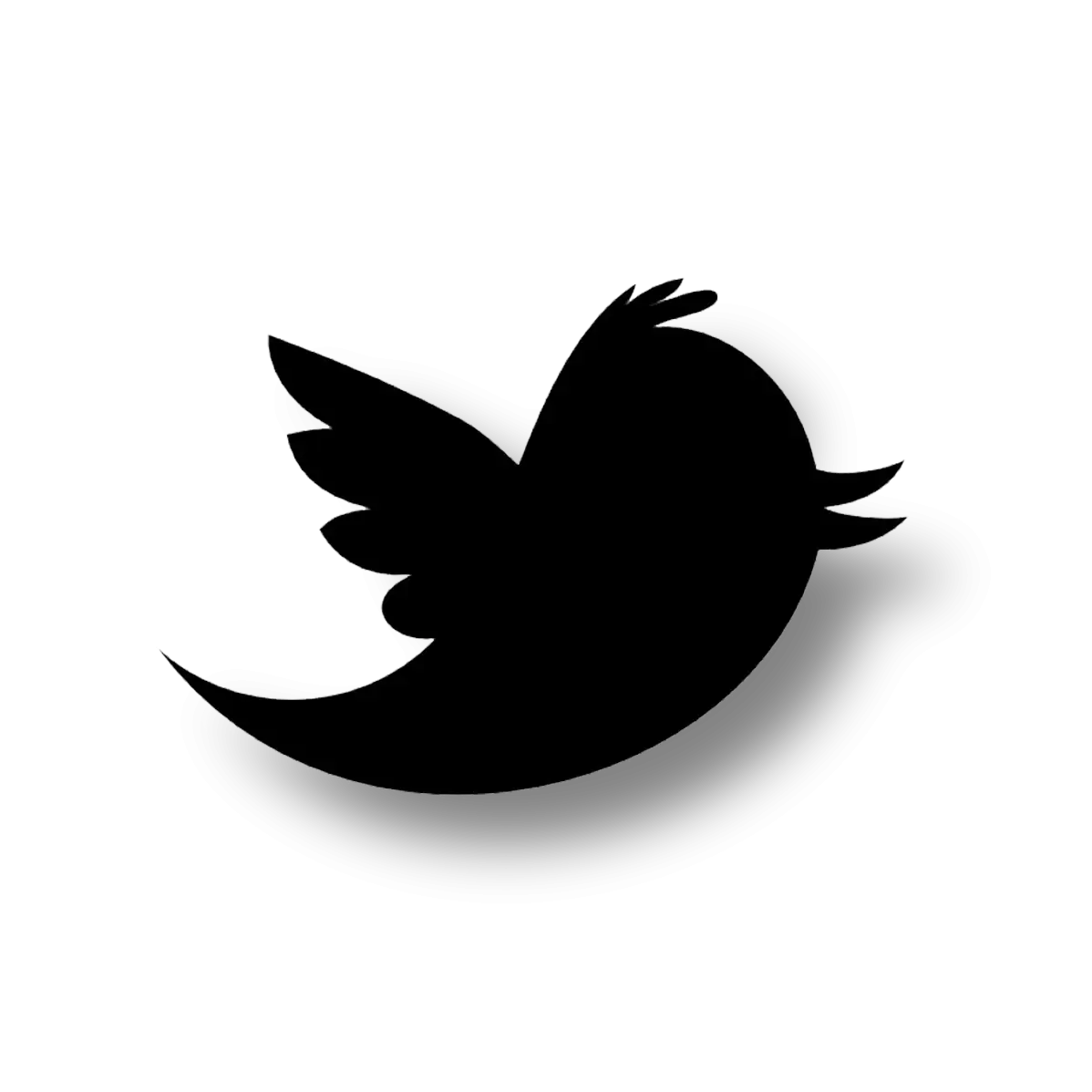 Black Bird Silhouette Logo