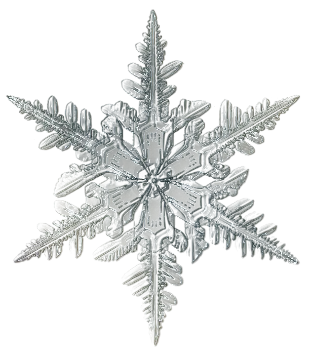 Silver Snowflake Ornament with Intricate Design
