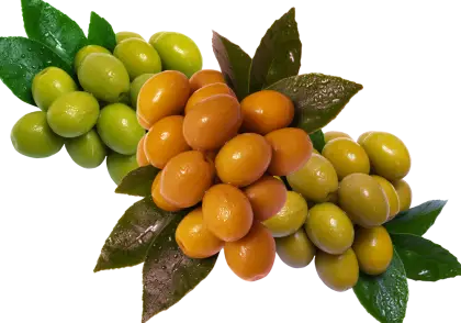 Green and Orange Grapes with Leaves