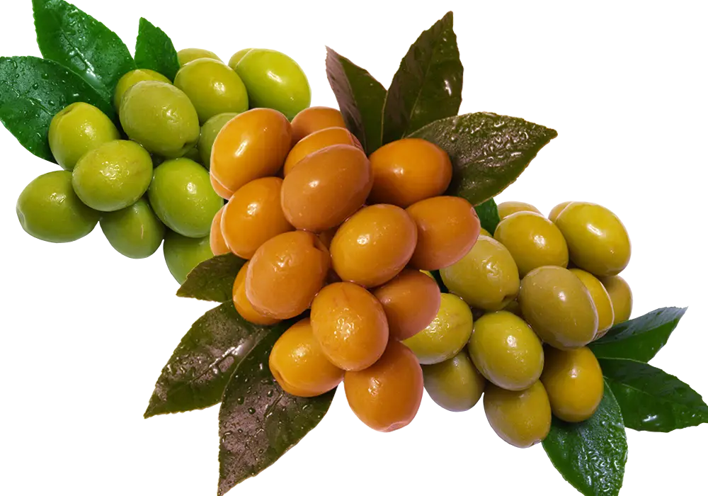 Green and Orange Grapes with Leaves