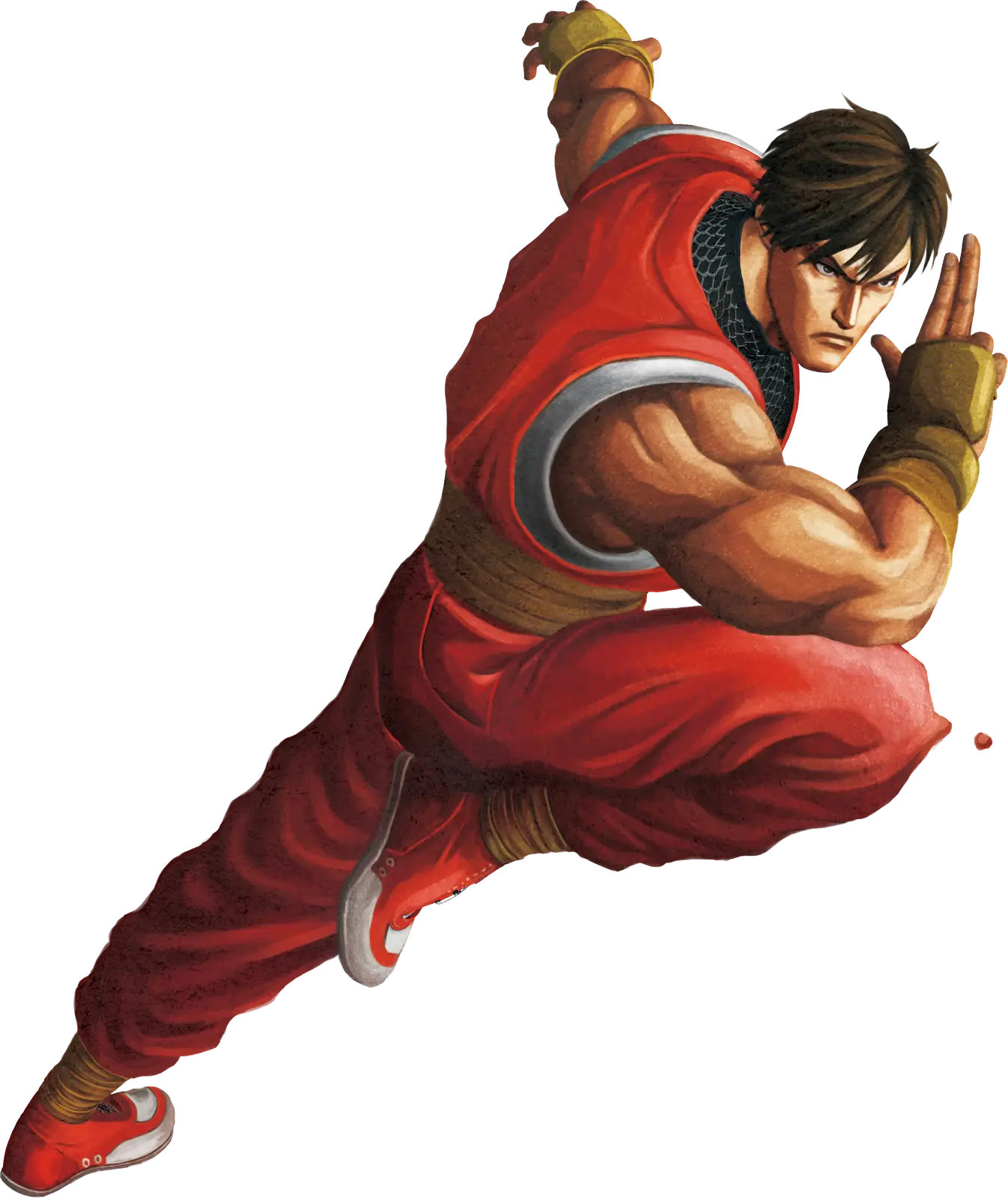 Dynamic Martial Artist in Action Pose