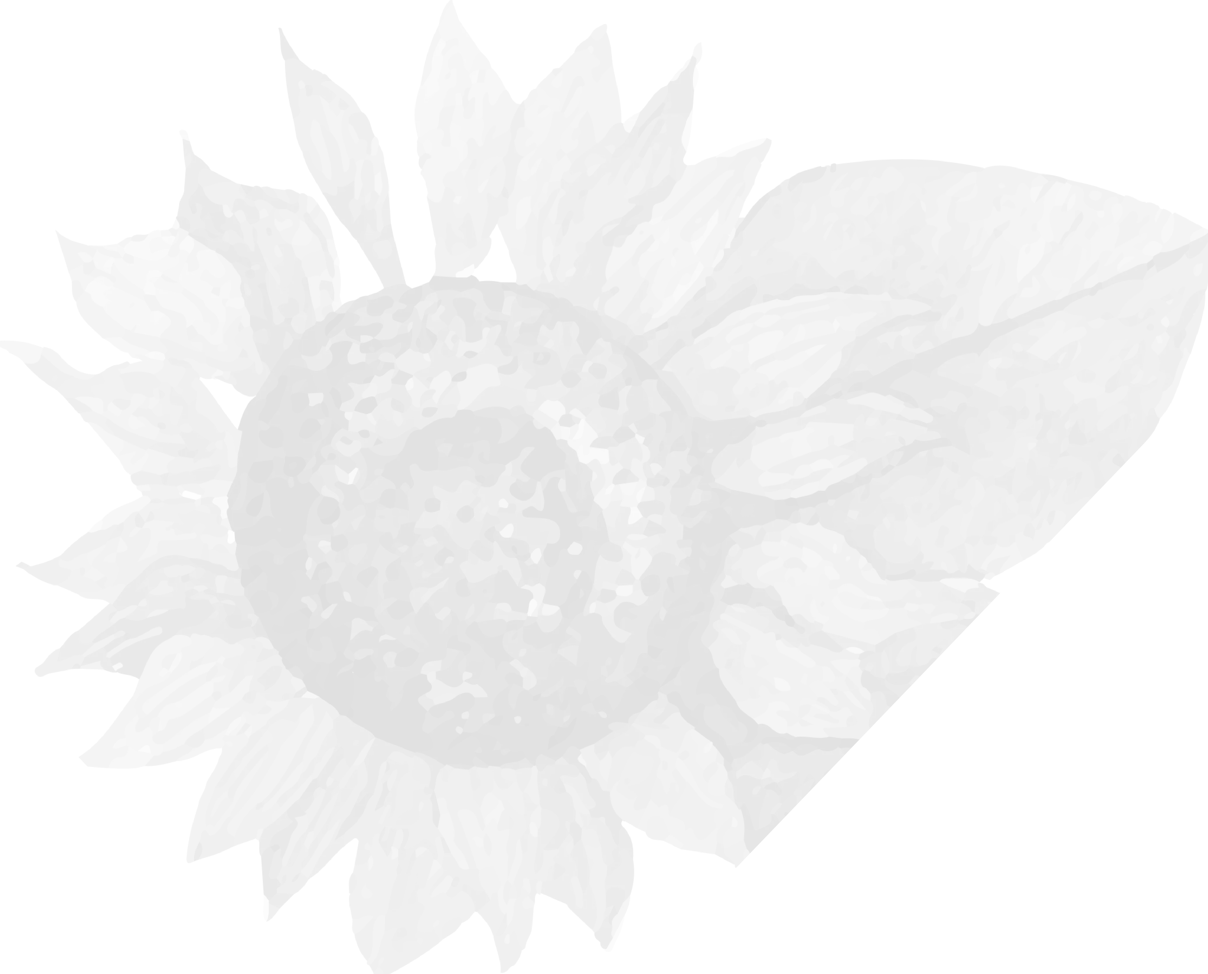 Transparent Sunflower Illustration