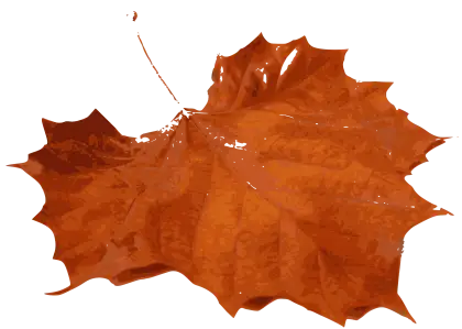 Orange Autumn Leaf Illustration for Seasonal Theme