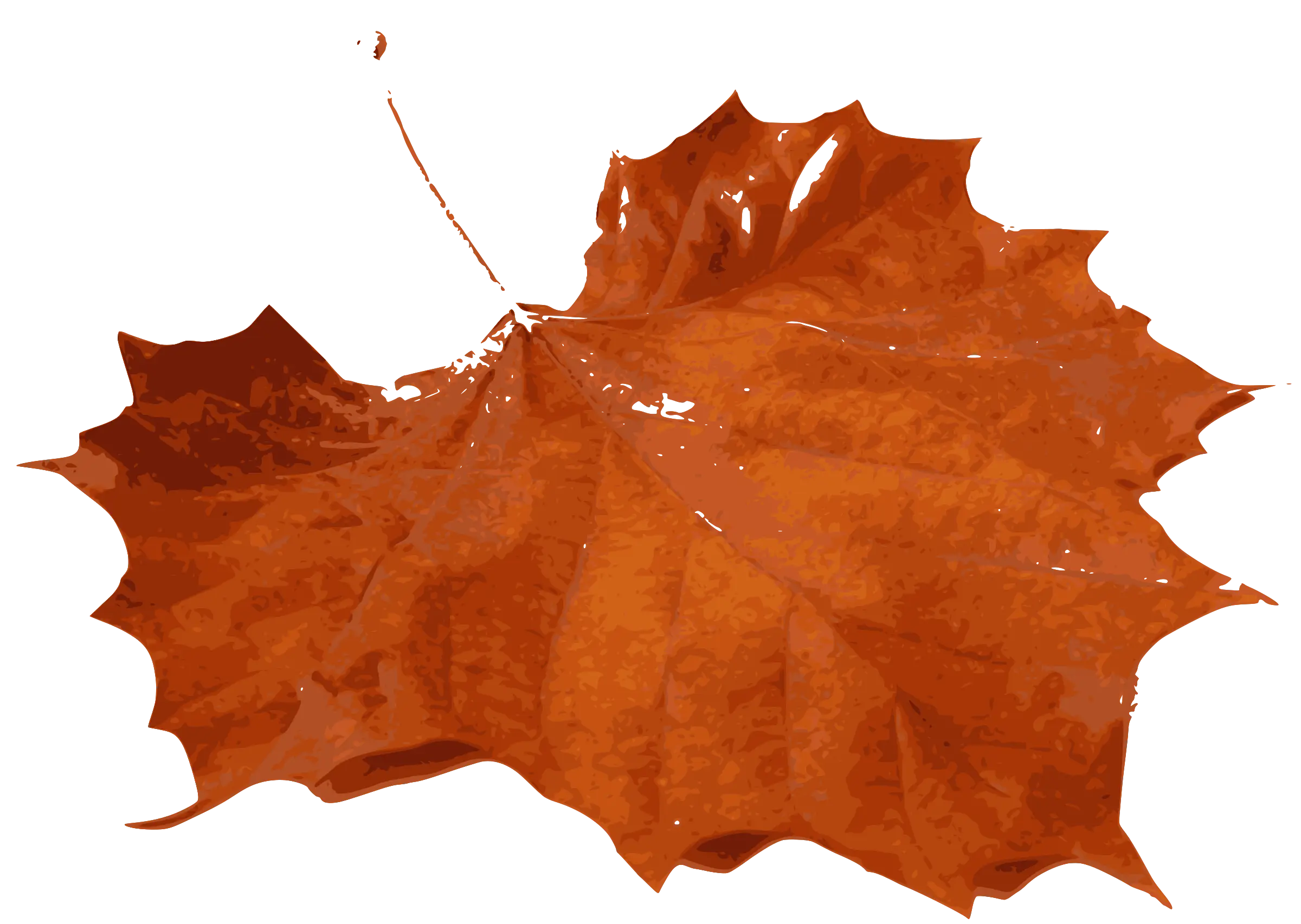 Orange Autumn Leaf Illustration for Seasonal Theme