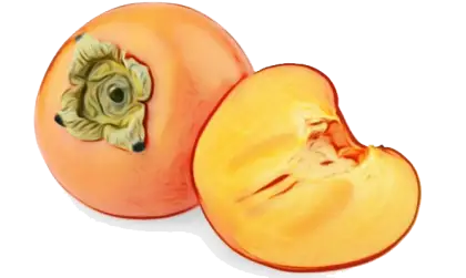Fresh Persimmon and Slice Illustration