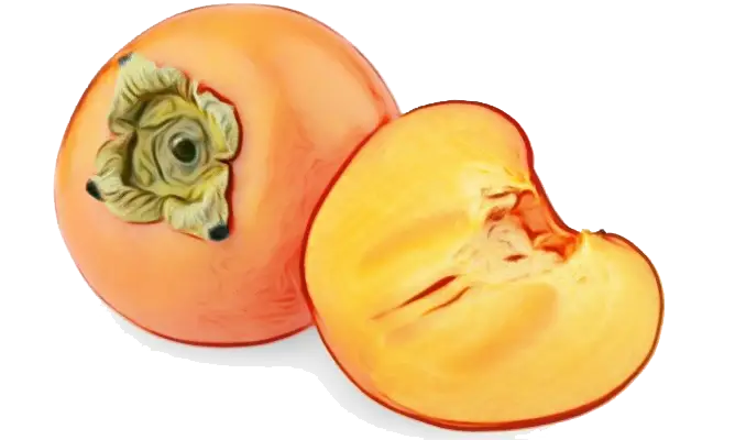 Fresh Persimmon and Slice Illustration