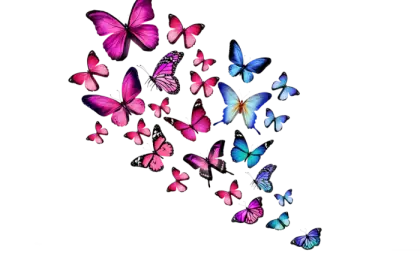 Colorful Butterfly Cluster Illustration