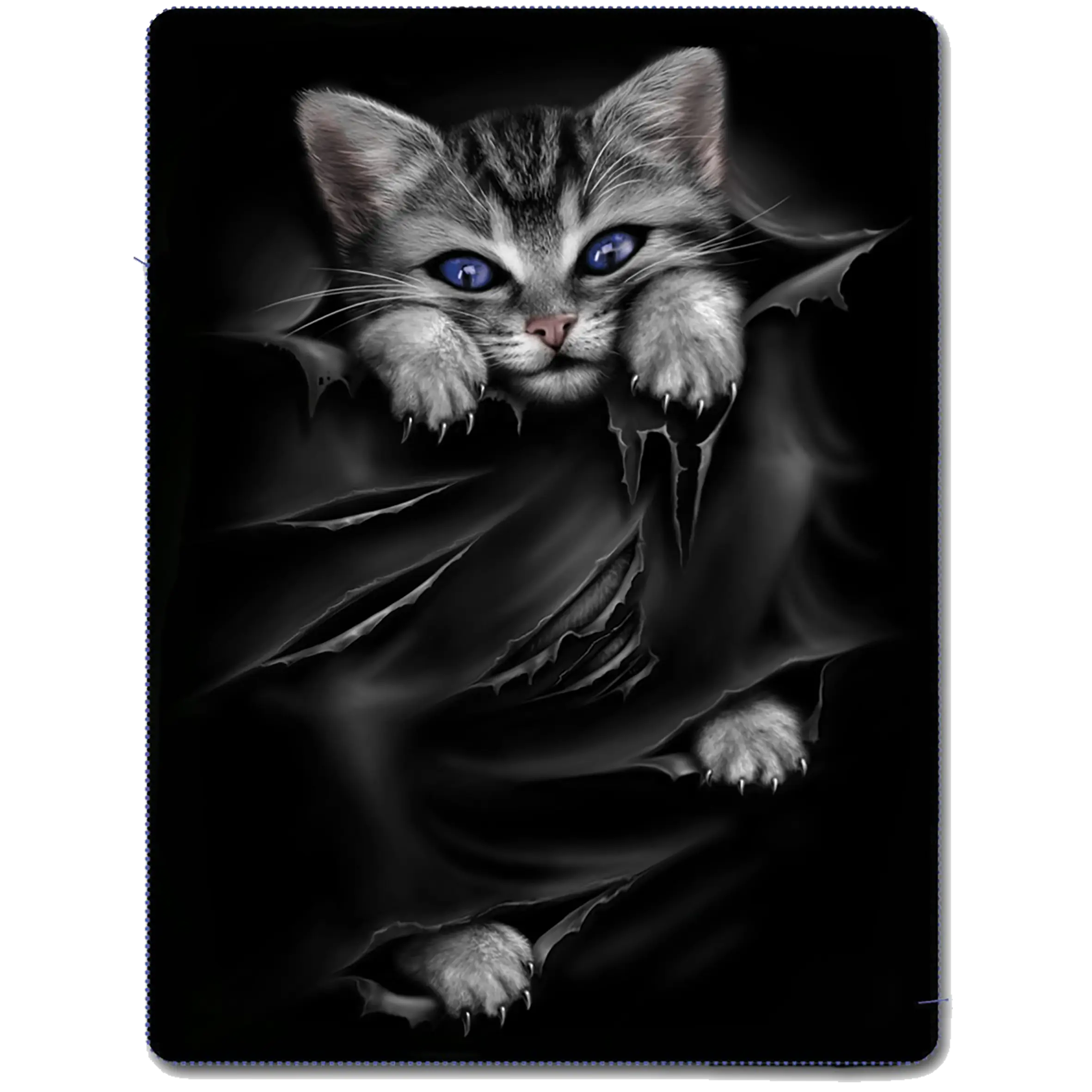 Cute Kitten on Black Background