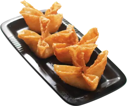 Crispy Fried Wontons