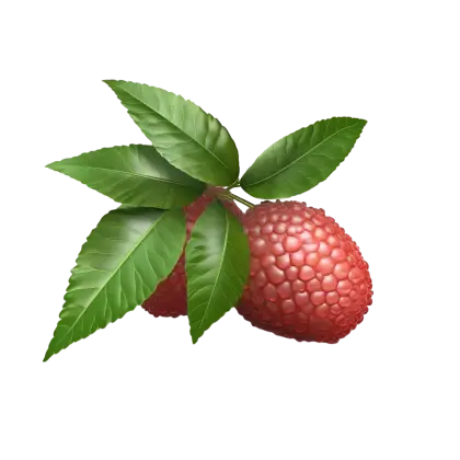 Cluster of Lychees with Fresh Green Leaves